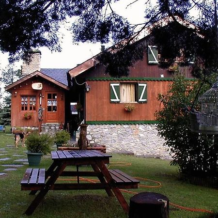 Bed and Breakfast Niu Dels Falcons La Molina  Exterior foto